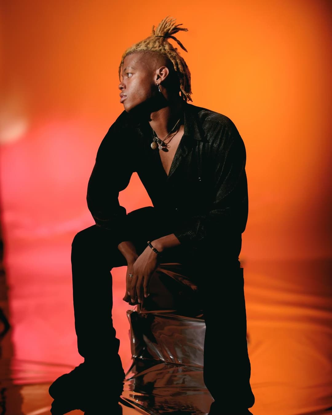 Artist career highlight